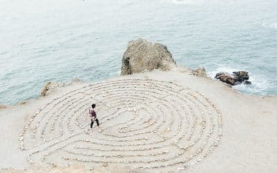 La résilience, nouvel art de vivre