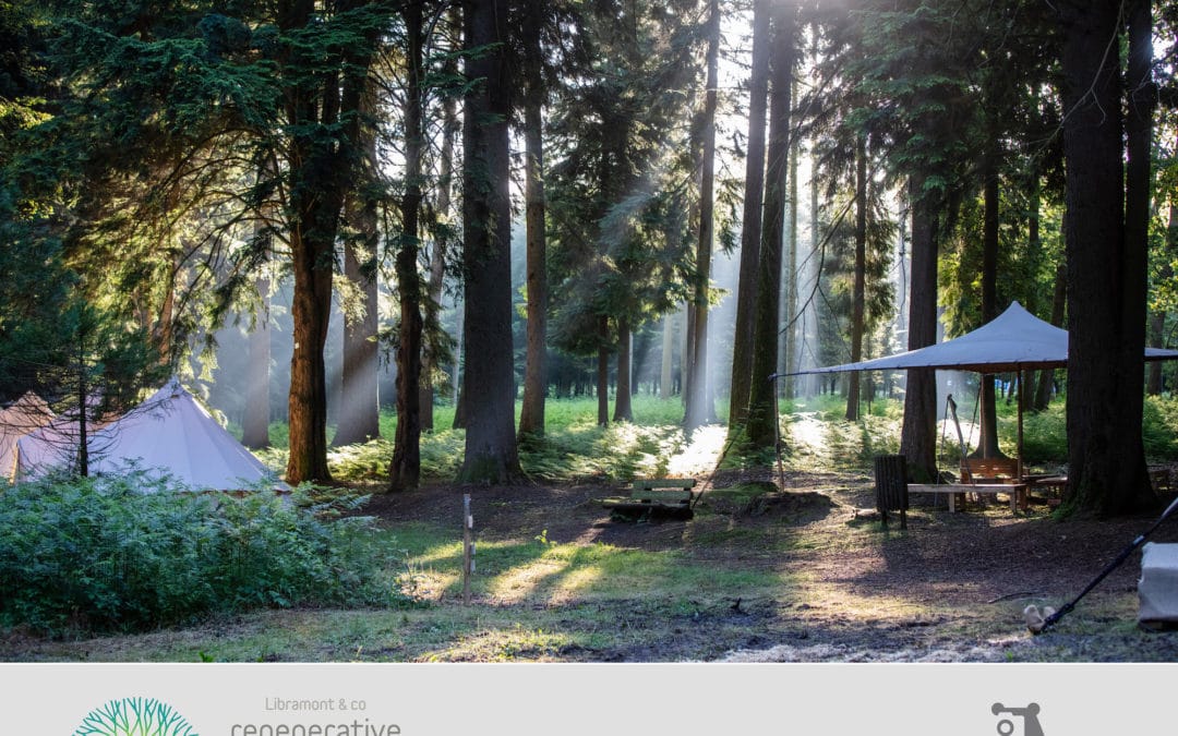 Libramont Regenerative Alliance : Messages from the Woods