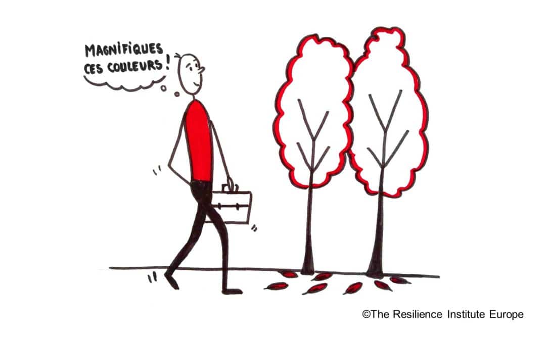 Comment la nature va-t-elle colorer votre journée ?