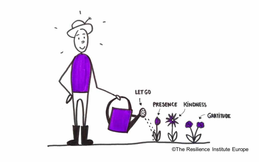 How will you cultivate joy today ?