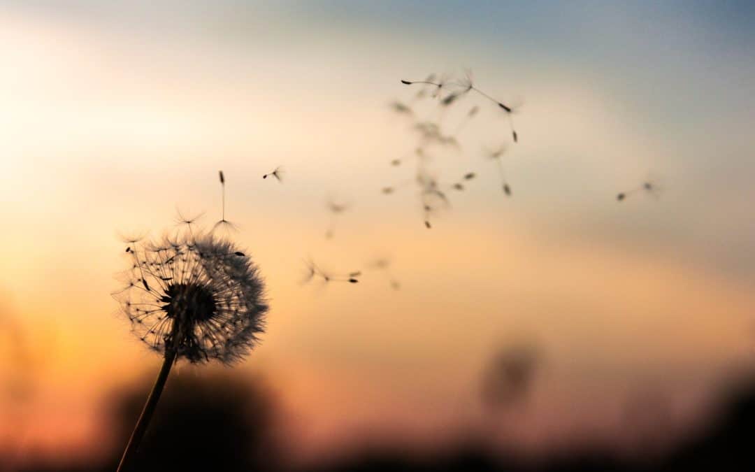 Is it possible to achieve both performance and wellbeing ?