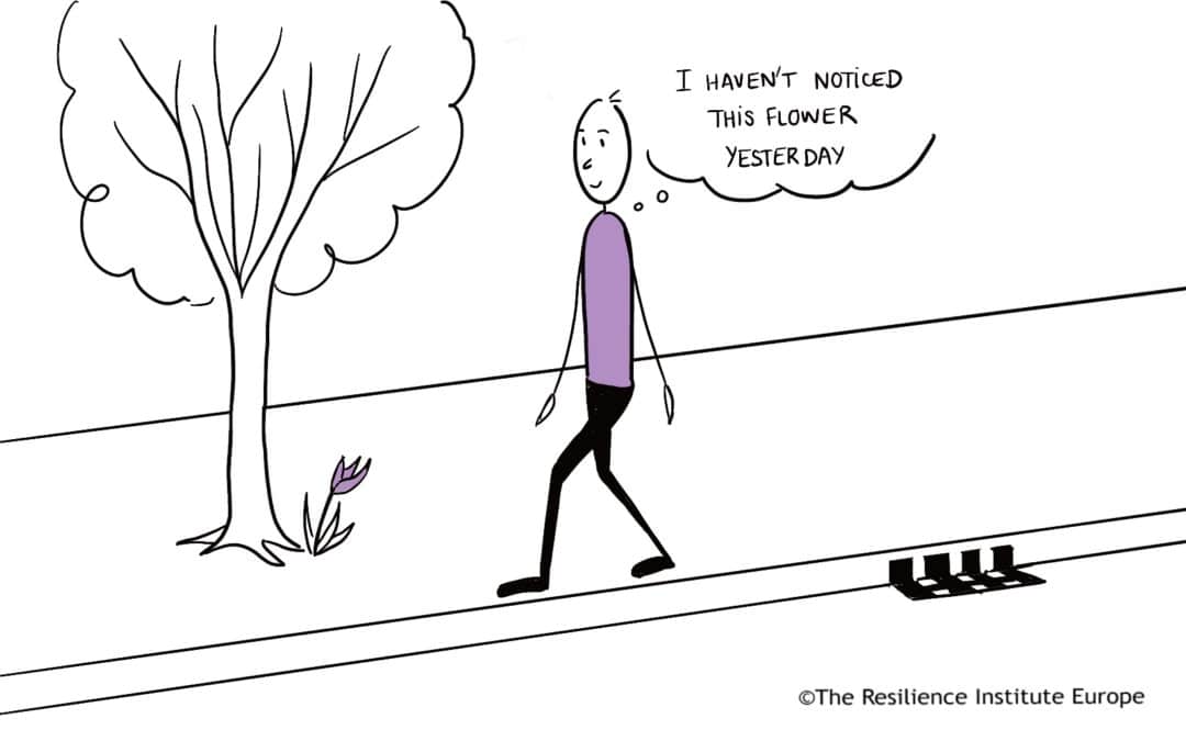 When will you go for a mindfulness walk today?