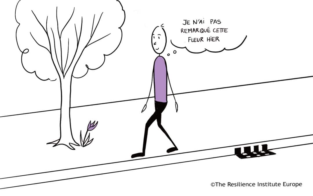 Quand choisirez-vous de marcher en pleine conscience aujourd’hui ?